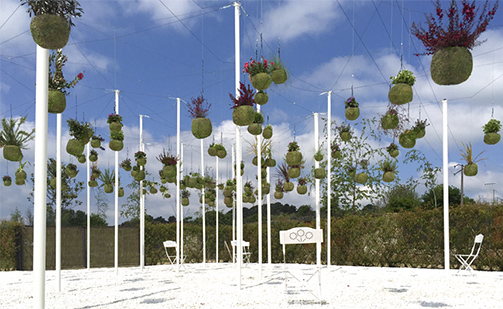 ‘漂浮绿云’花园在Allariz国际花园节正式开放
